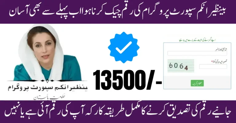 How to Check 8171 Web Portal Payment Status and Receive Rs. 13,500 from BISP in 2026