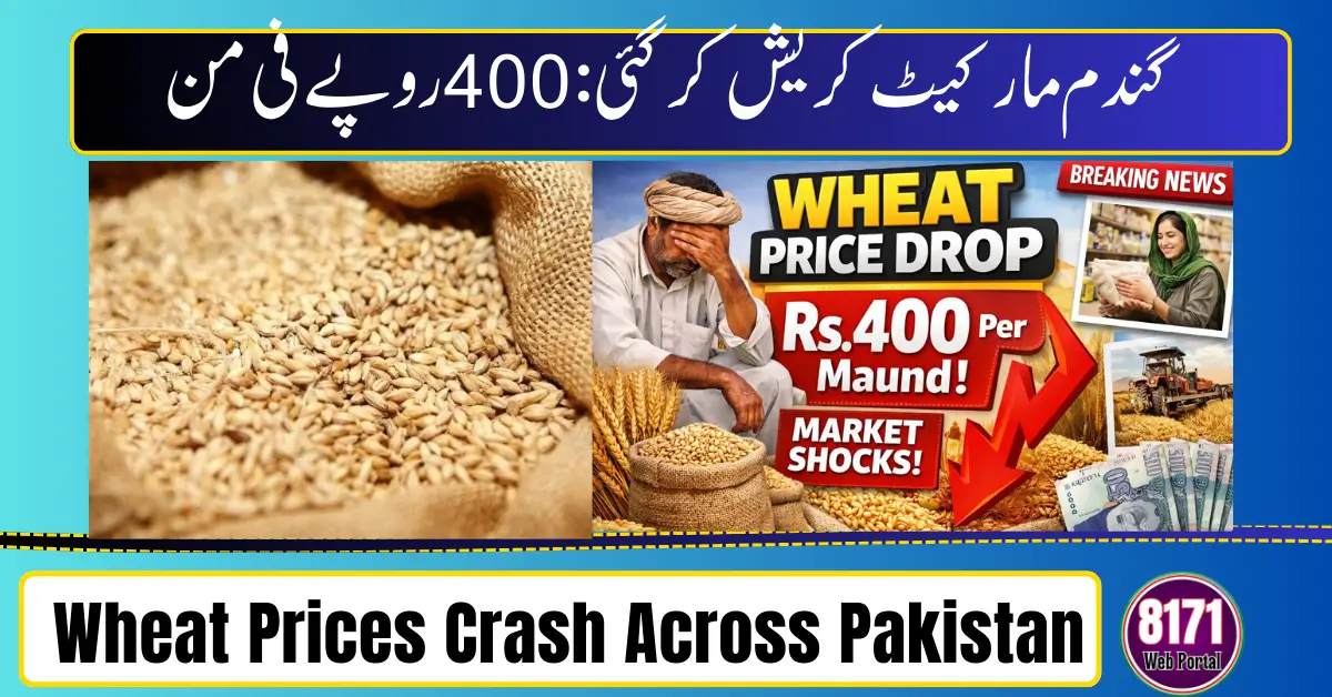 Wheat Prices Crash Across Pakistan as Rs.400 Per Maund Drop Triggers Mixed Reactions